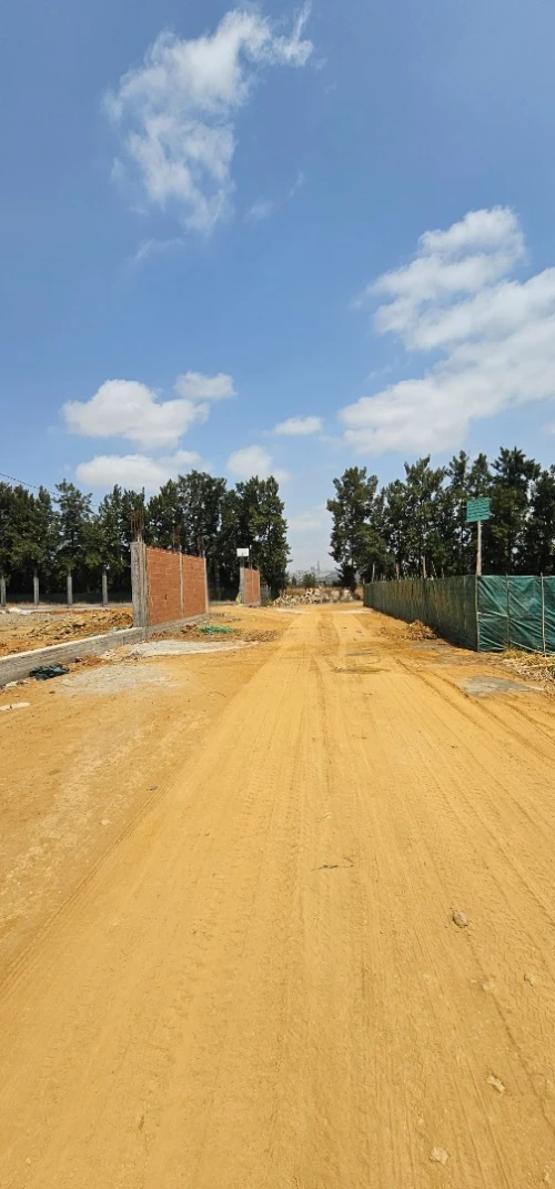 Vente Terrain Alger Tessala el merdja