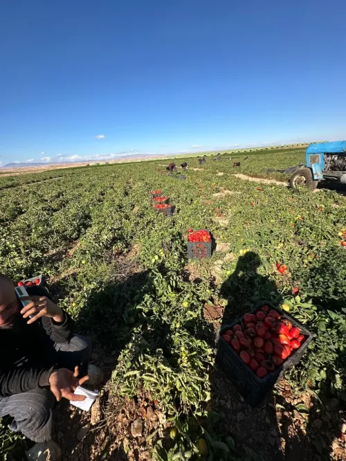 Vente Terrain Agricole Bordj Bou Arreridj Ain taghrout