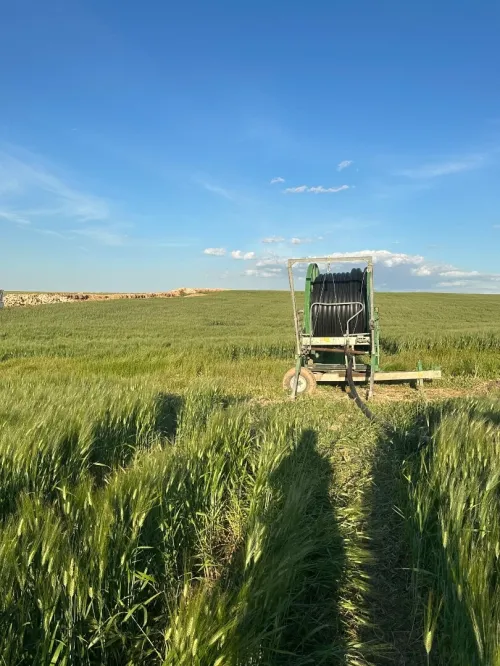 Vente Terrain Agricole Bordj Bou Arreridj Ain taghrout