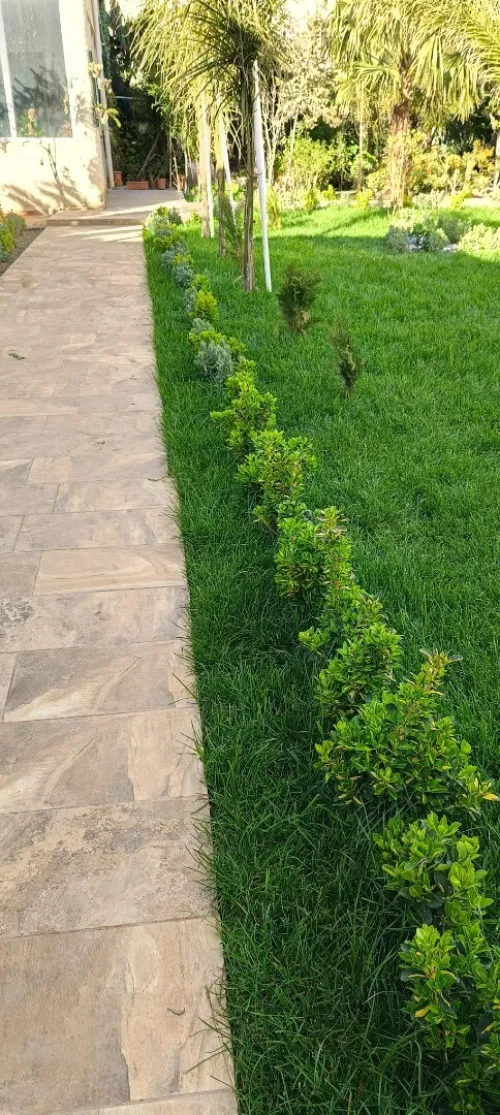 Nettoyage jardin gazon naturel 