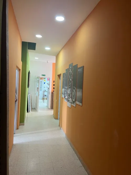 Location Appartement F4 Alger Cheraga