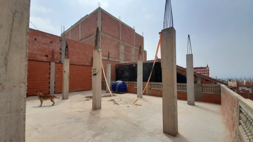 Vente Villa Alger Douera