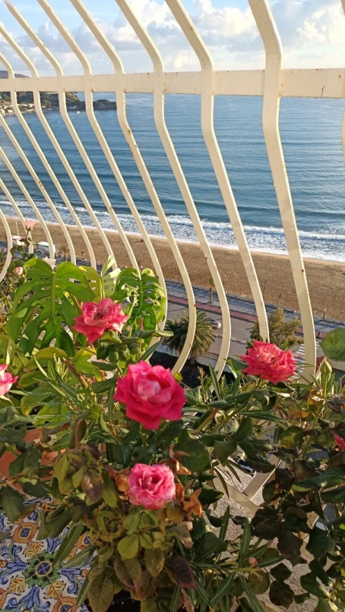Location vacances Appartement F4 Annaba Annaba