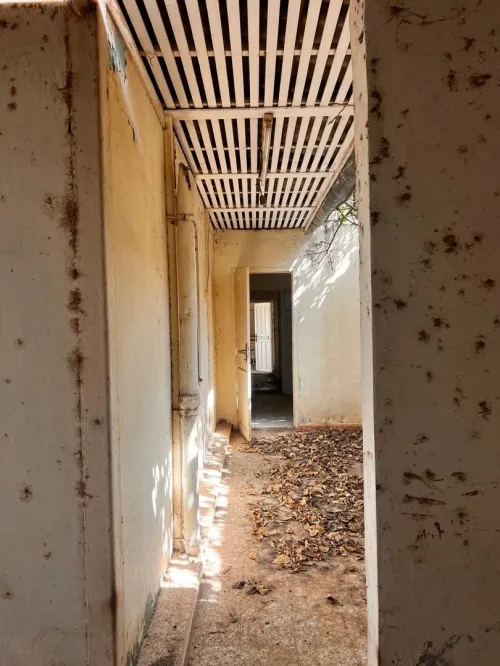 Location bien immobilier Tlemcen Ghazaouet