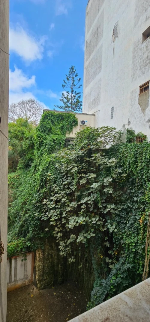 Vente Appartement Duplex F5 Alger Bir mourad rais