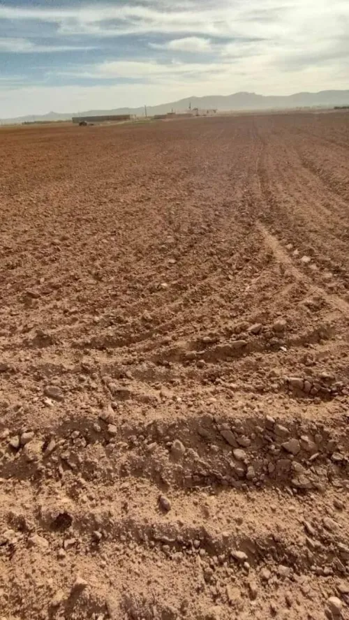 Vente Terrain Agricole Djelfa Benhar