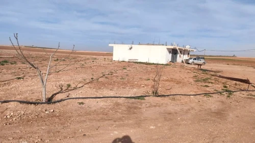 Vente Terrain Agricole Djelfa Benhar