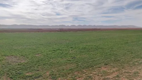 Vente Terrain Agricole Djelfa Benhar