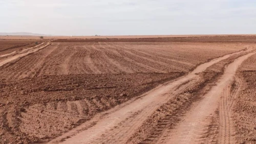 Vente Terrain Agricole Djelfa Benhar