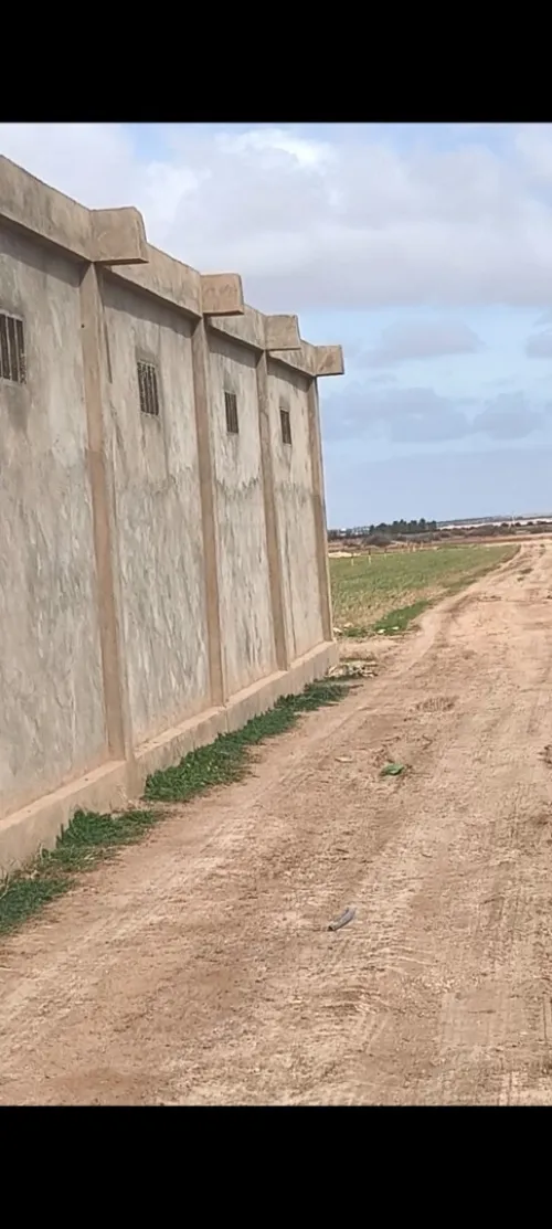 Vente Terrain Agricole Djelfa Benhar