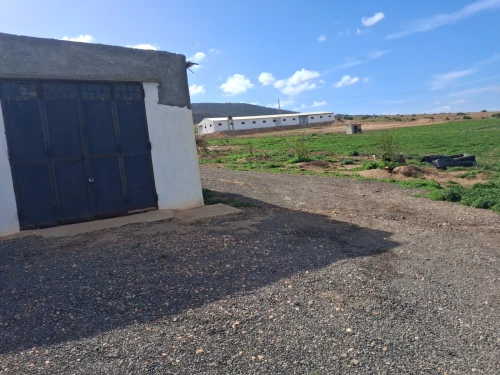Vente Terrain Agricole Mascara Bou henni