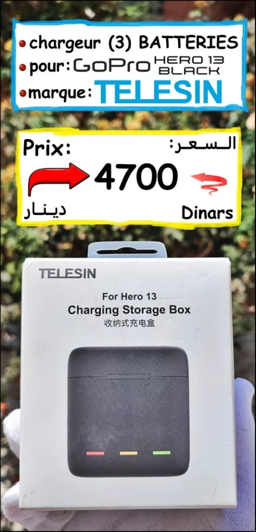 Chargeur pour GoPro 13 Black ( charge 3 batteries )