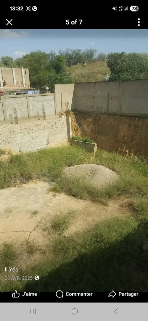 Vente Terrain Chlef Chlef