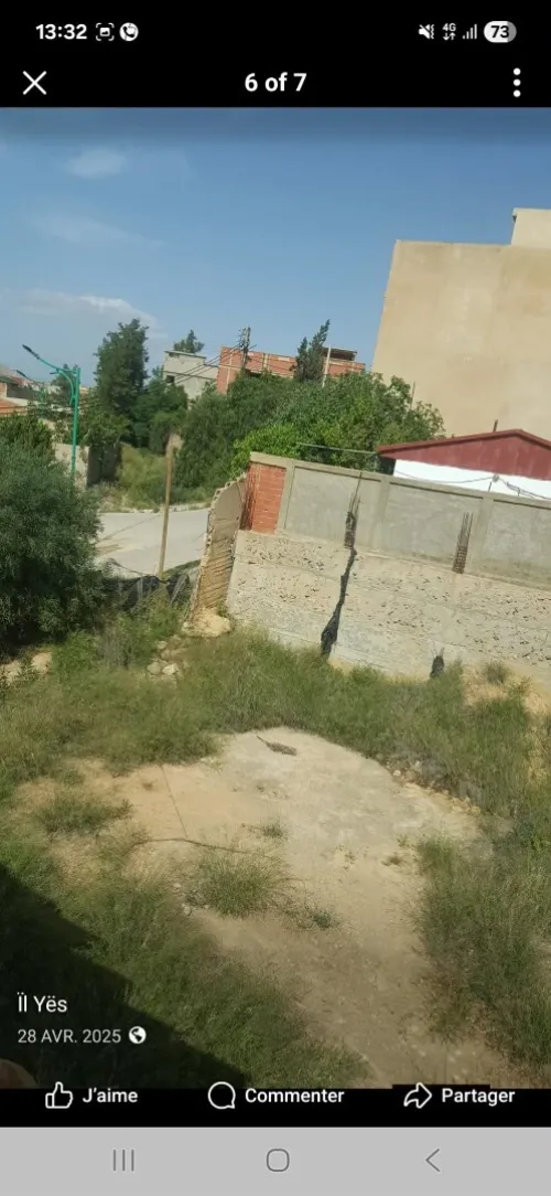 Vente Terrain Chlef Chlef