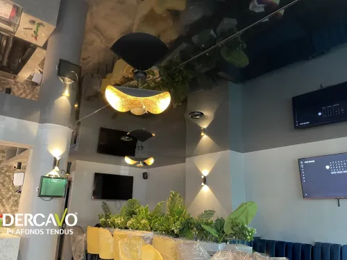faux plafond algerie