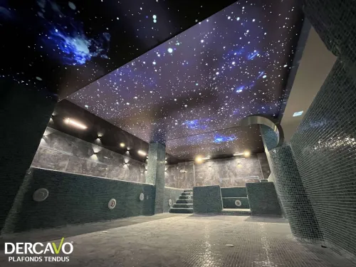 faux plafond algerie