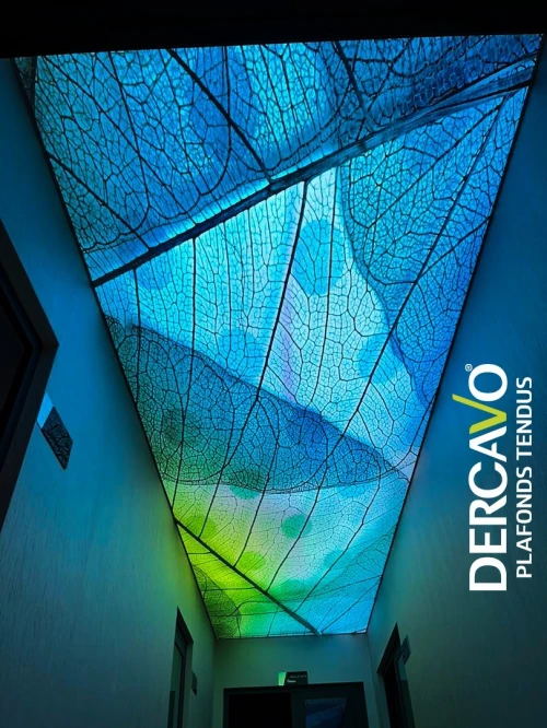 Plafond tendu