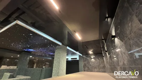 plafond tendu Algérie