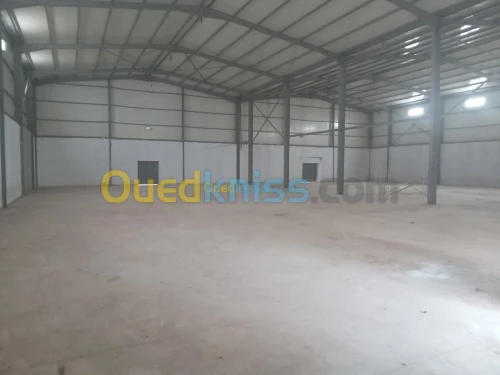 Location Hangar Blida Larbaa