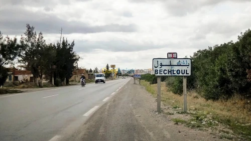 Vente Terrain Agricole Bouira Bechloul