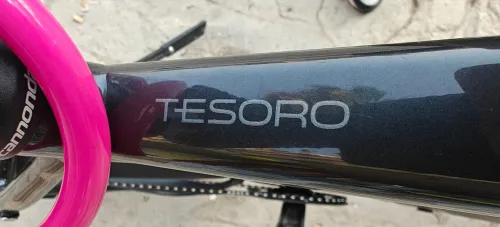 Vélo Électrique 