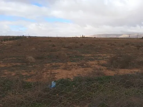 Vente Terrain Agricole Djelfa Hassi bahbah