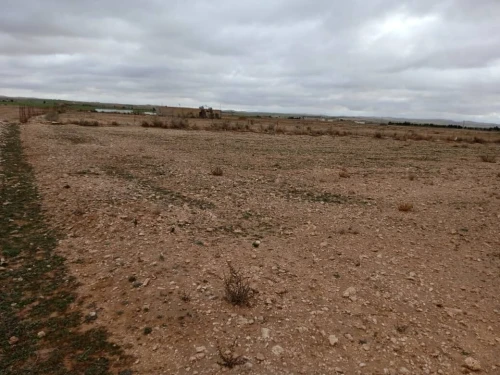 Vente Terrain Agricole Djelfa Hassi bahbah