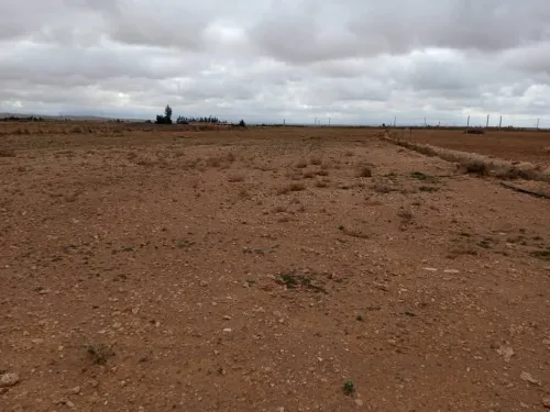 Vente Terrain Agricole Djelfa Hassi bahbah
