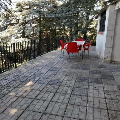 Location vacances Bungalow Blida Chrea