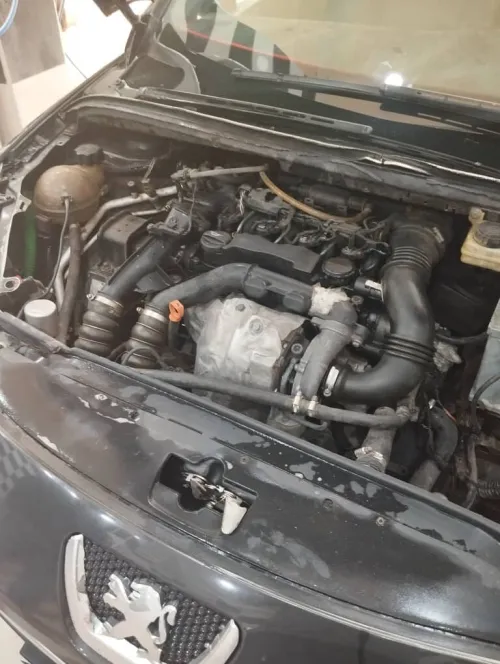 Peugeot 307 2006 Oxygo
