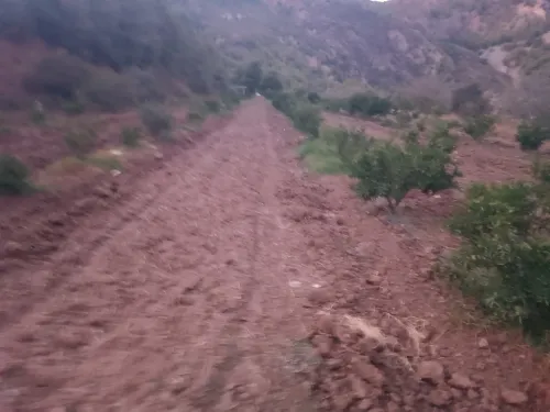Vente Terrain Blida Hammam melouane