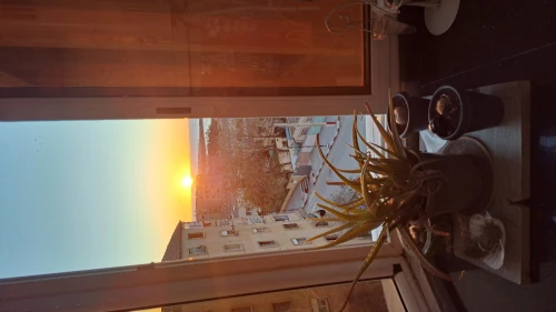 Vente Appartement F4 Tipaza Cherchell