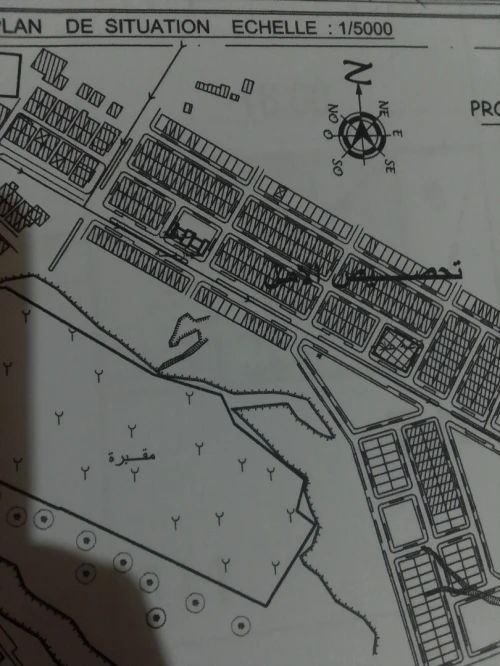 Vente Terrain Tébessa Ouenza