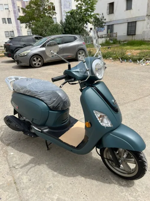 Sym Fiddle 3 2025
