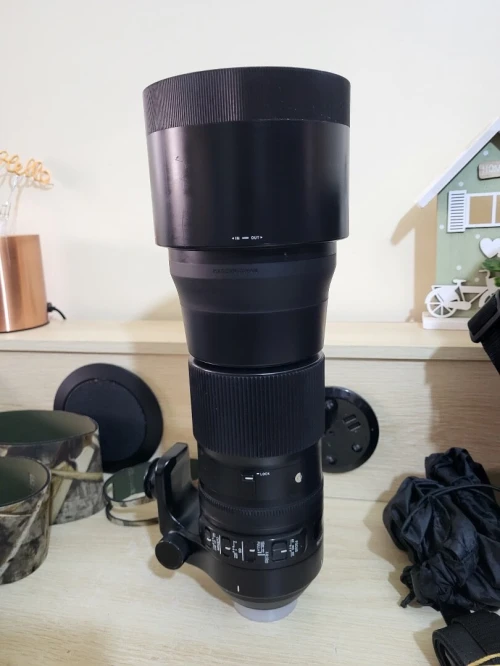 Sigma Téléobjectif 150-600mm F5-6.3 DG OS HSM Contemporary | Monture Nikon | pour la captation à distance et l'événement | Rendu pro