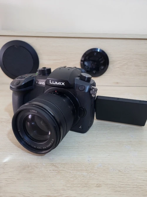 Panasonic Lumix DC-GH5 Appareil photo hybride de 20.3 MP | Vidéo UHD 4K/60p à durée illimitée + OBJECTIF Lumix G Vario 12-60mm f/3.5-5.6 Asph