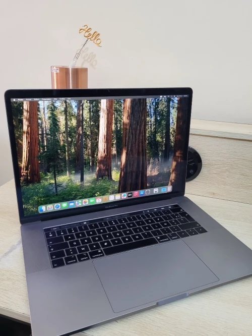 MacBook Pro 16" 2019 | CORE i7 | 16GB RAM | AMD RADEON PRO 555X 4GB | 256GB SSD | GAMME Workstation