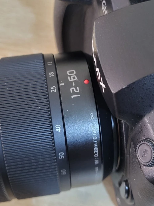 Panasonic Lumix DC-GH5 Appareil photo hybride de 20.3 MP | Vidéo UHD 4K/60p à durée illimitée + OBJECTIF Lumix G Vario 12-60mm f/3.5-5.6 Asph