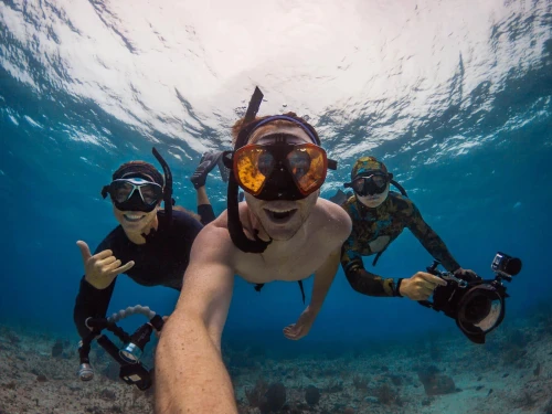 GoPro HERO11 Black | caméra d'action sportive et sous-marine | vidéo Ultra HD 5.3K60 4K UHD | 27MP | Diffusion en Direct | Webcam | stabilisation