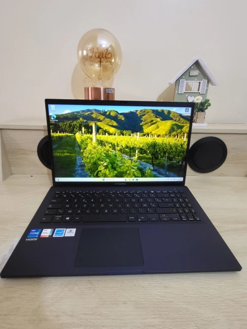 Asus ExpertBook | CORE i5 1335U | 8GB RAM | 256GB SSD | INTEL UHD GRAPHICS