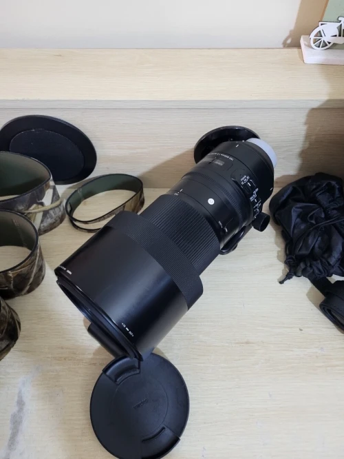 Sigma Téléobjectif 150-600mm F5-6.3 DG OS HSM Contemporary | Monture Nikon | pour la captation à distance et l'événement | Rendu pro