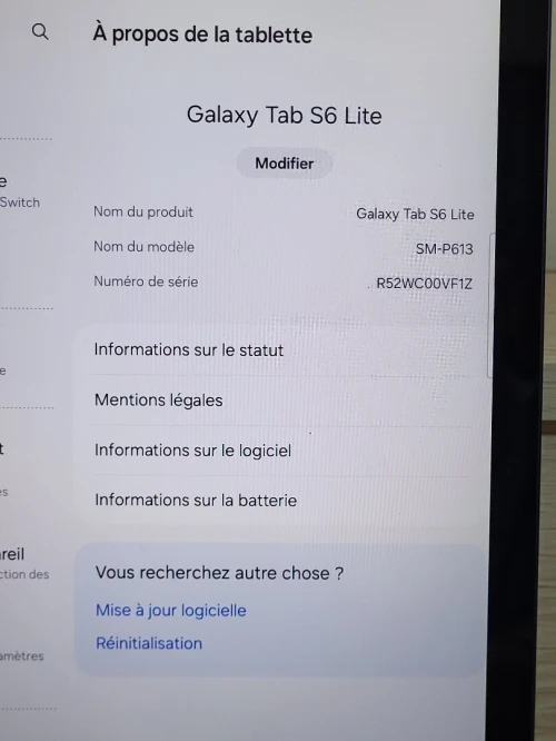 Samsung 🔥Galaxy Tab S6 Lite SM-P630 WiFi 🔥🔥🔥