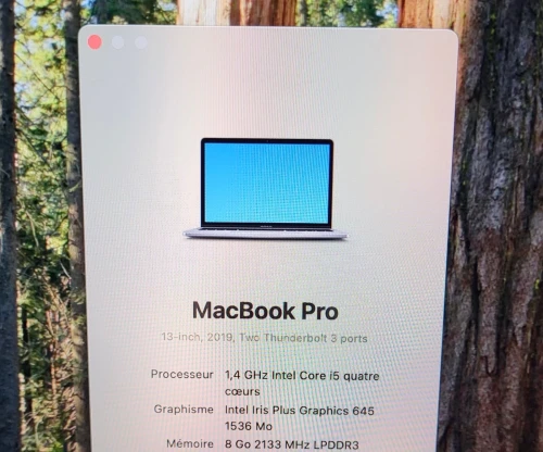 MacBook Pro Touch Bar Mid 2019 13-inch | INTEL CORE I5 QUATRE COEURS | 8GB RAM | 256GB SSD