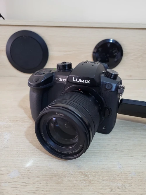 Panasonic Lumix DC-GH5 Appareil photo hybride de 20.3 MP | Vidéo UHD 4K/60p à durée illimitée + OBJECTIF Lumix G Vario 12-60mm f/3.5-5.6 Asph