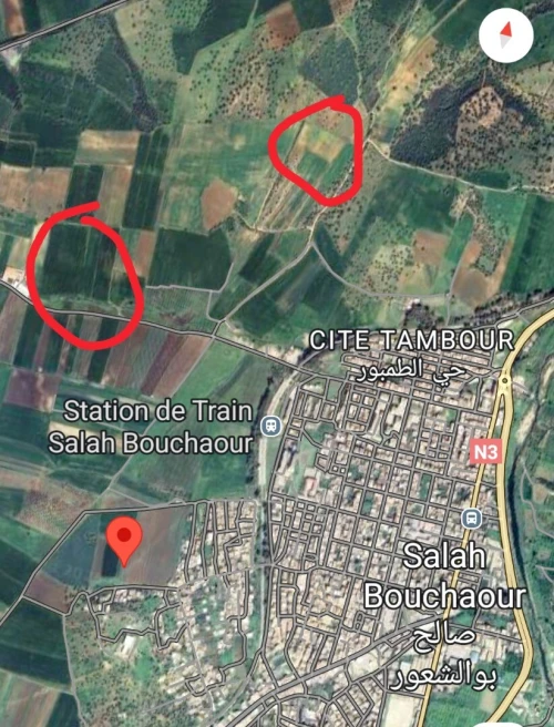 Vente Terrain Agricole Skikda Salah bouchaour