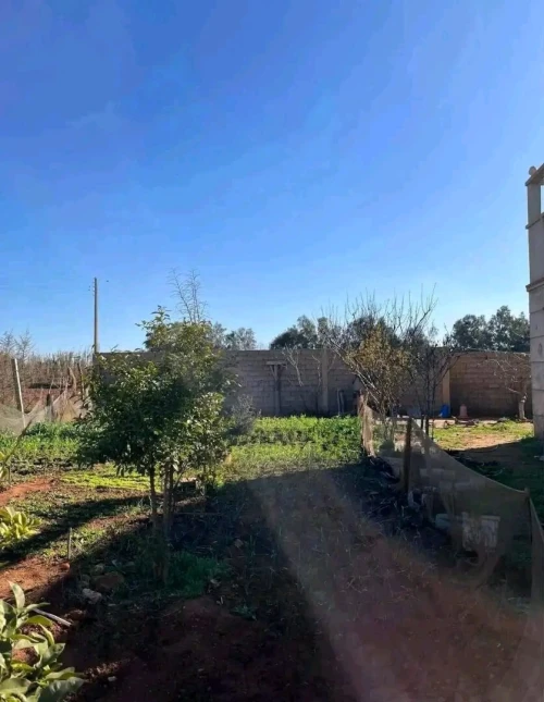 Vente Villa Mostaganem Kheireddine