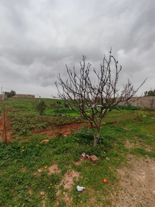 Vente Villa Mostaganem Kheireddine