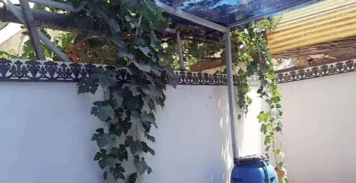 Vente Appartement F3 Alger Kouba