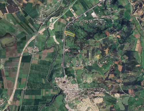 Vente Terrain Skikda Beni Bechir