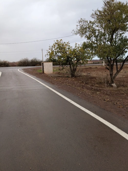 Location Terrain Agricole Aïn Témouchent Chaabet el ham